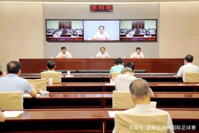 阿拉伊贝戈维奇：罗马的未来之星，意甲转会市场的焦点